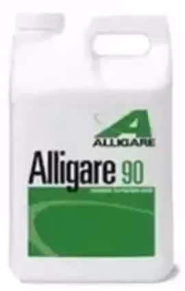 Alligare