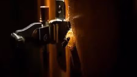 Cockroach Baiting vs Spraying Comparison Guide