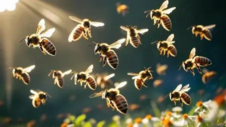 Honeybees Graphic