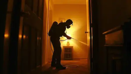 Household Pest Control