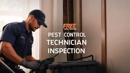 Professional pest inspection in Indianapolis