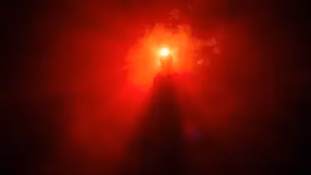 Signs of Pest Infestation: Common Household Pest Odors